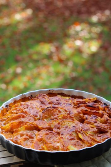 Kürbisgratin
